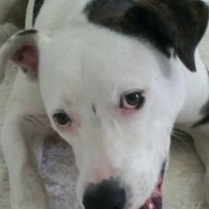 Meet your Posher, C.